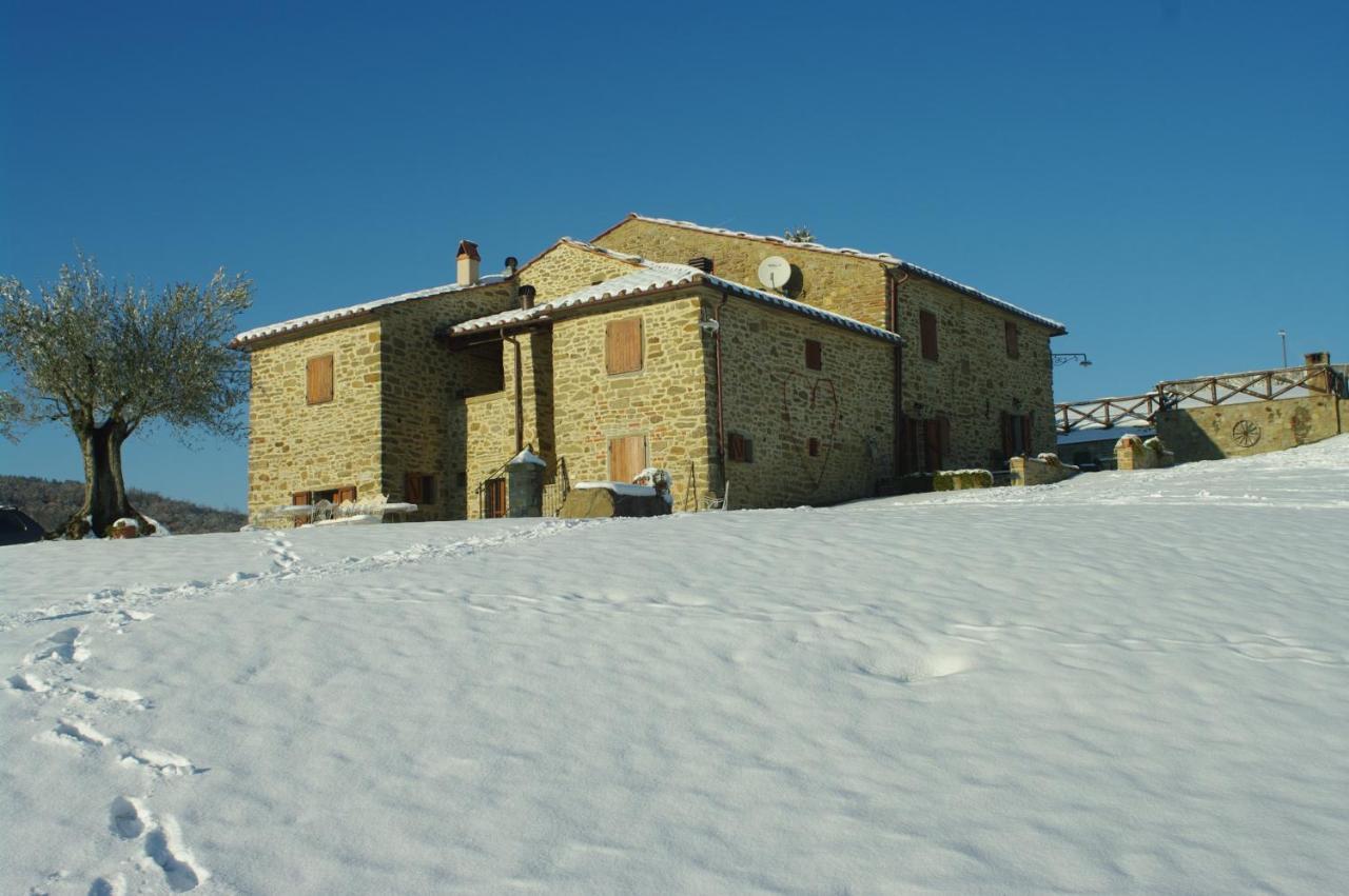 Agriturismo D'Ambiano Ареццо Экстерьер фото