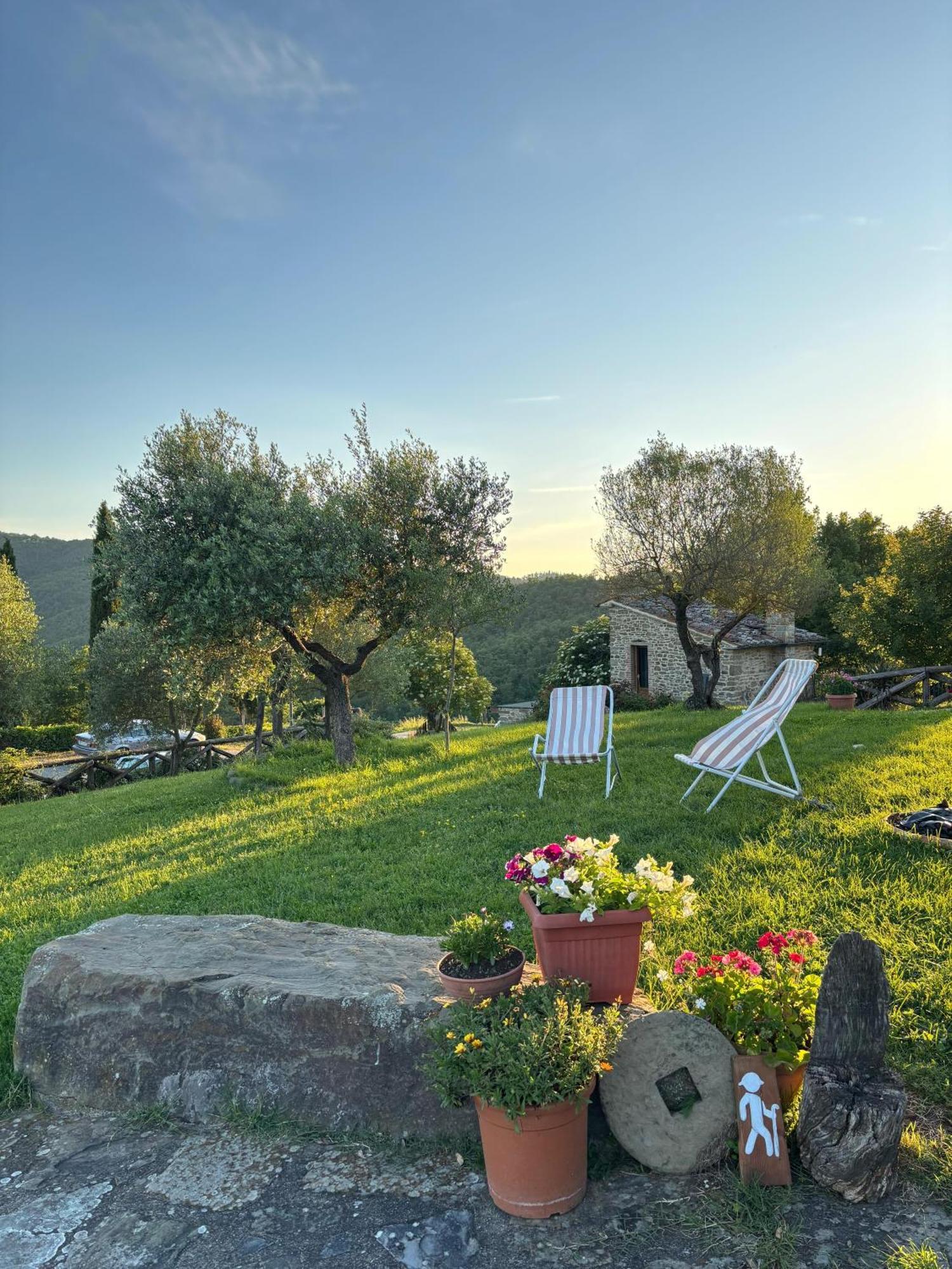 Agriturismo D'Ambiano Ареццо Экстерьер фото
